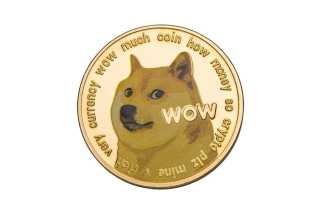 Dogecoin，Memecoins和Bull循環：我們還在吠叫正確的樹嗎？