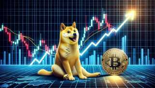 La baisse du marché de la Dogecoin et la lutte des prix: une vérification de la réalité de la monnaie meme