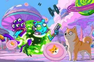 Shiba Inu, Dogecoin et The Meme Coin Mania: Quelle est la prochaine étape?