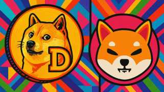 Shiba Inu，Dogecoin和Crypto返回種族：現在什麼熱？