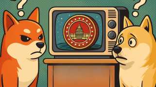 Memecoin Mania：マガコインの財務は次のdogeですか？