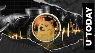 Dogecoin鲸鱼，价格行动和市场积累：有什么交易？