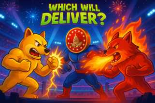 Dogecoin，Shiba Inu和Meme Coin Mania：下一步是什么？