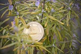 Dogecoin至$ 5？分析师看到Doge在ETF炒作上猛增！