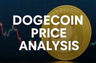 9月的Dogecoin投资：骑马浪潮