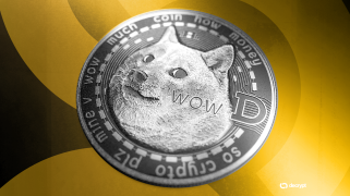 Dogecoin，财政部和控股：模因硬币的严肃举动