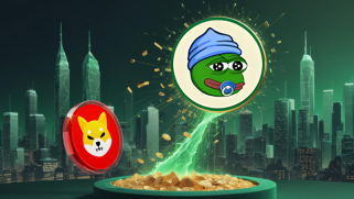 Shiba Inu、Dogecoin、およびThe Rise of New Meme Coin Contenders