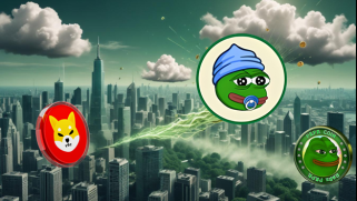 Meme硬币，Shiba INU和投资：炒作是什么？