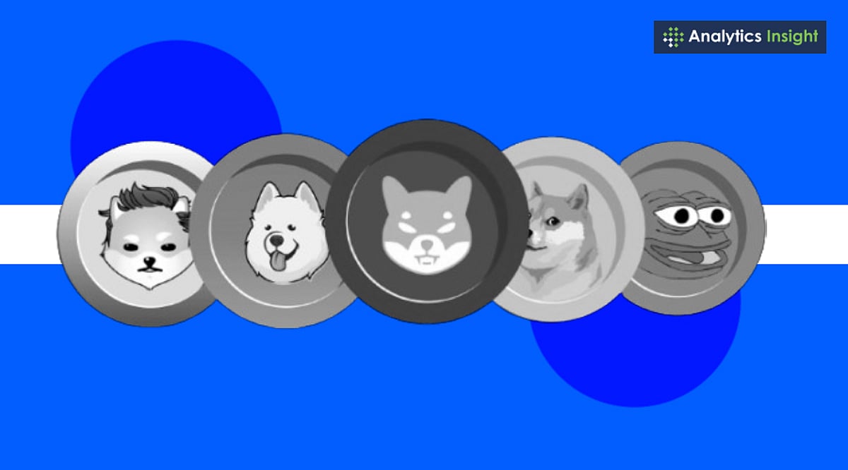 2025 년 밈 동전 : 투자 기회와 트렌드