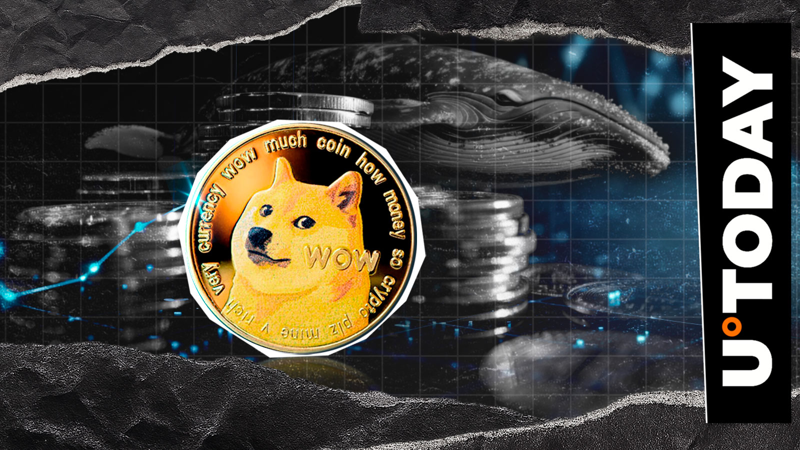 Dogecoin鯨魚消失了：這對Doge意味著什麼？
