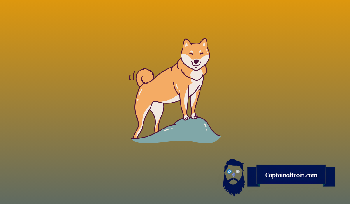 模因硬幣狂熱：Doge會觸發下一個價格泵嗎？