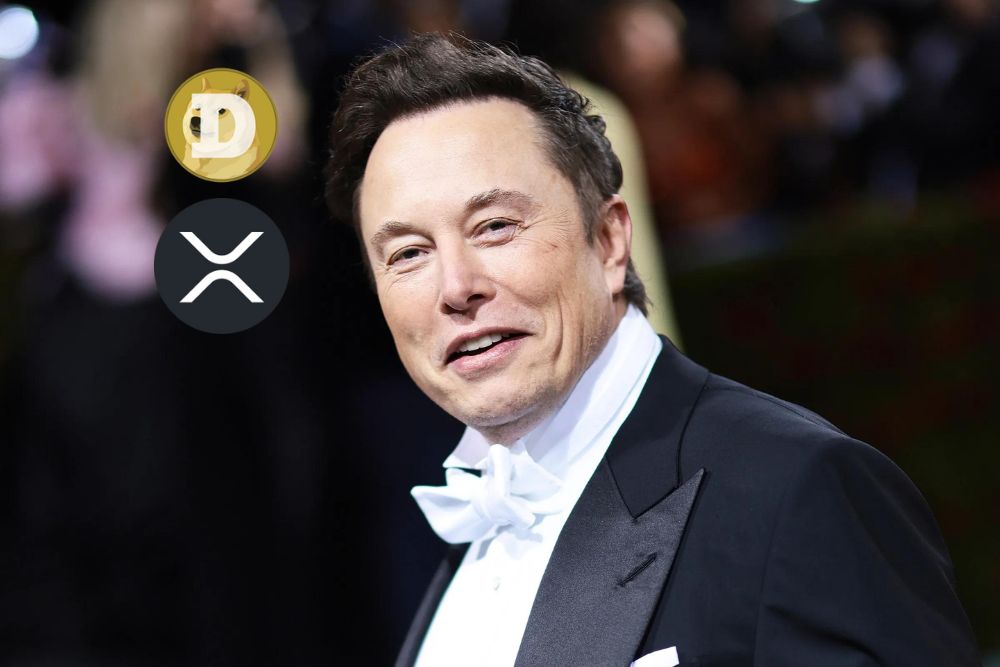 XRP，Elon Musk和Dogecoin：加密货币宇宙中的狂野骑行