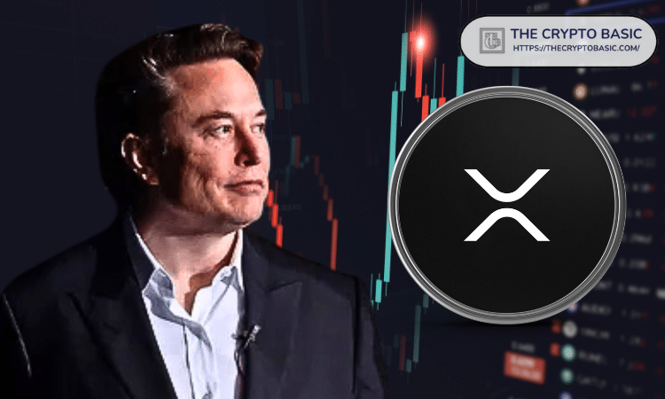 XRP、Elon Musk、およびDogecoin：暗号化におけるワイルドライド