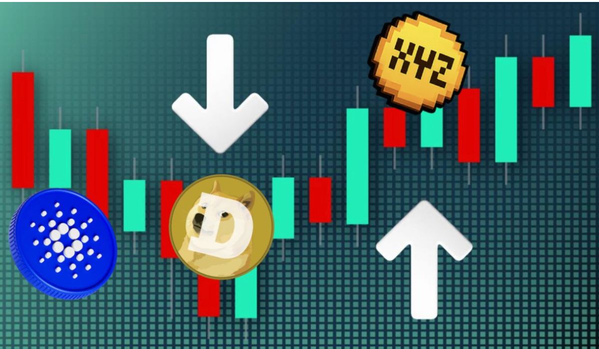 Xyzver​​se、Meme Market、およびInvestor Shift：次の波をキャッチする