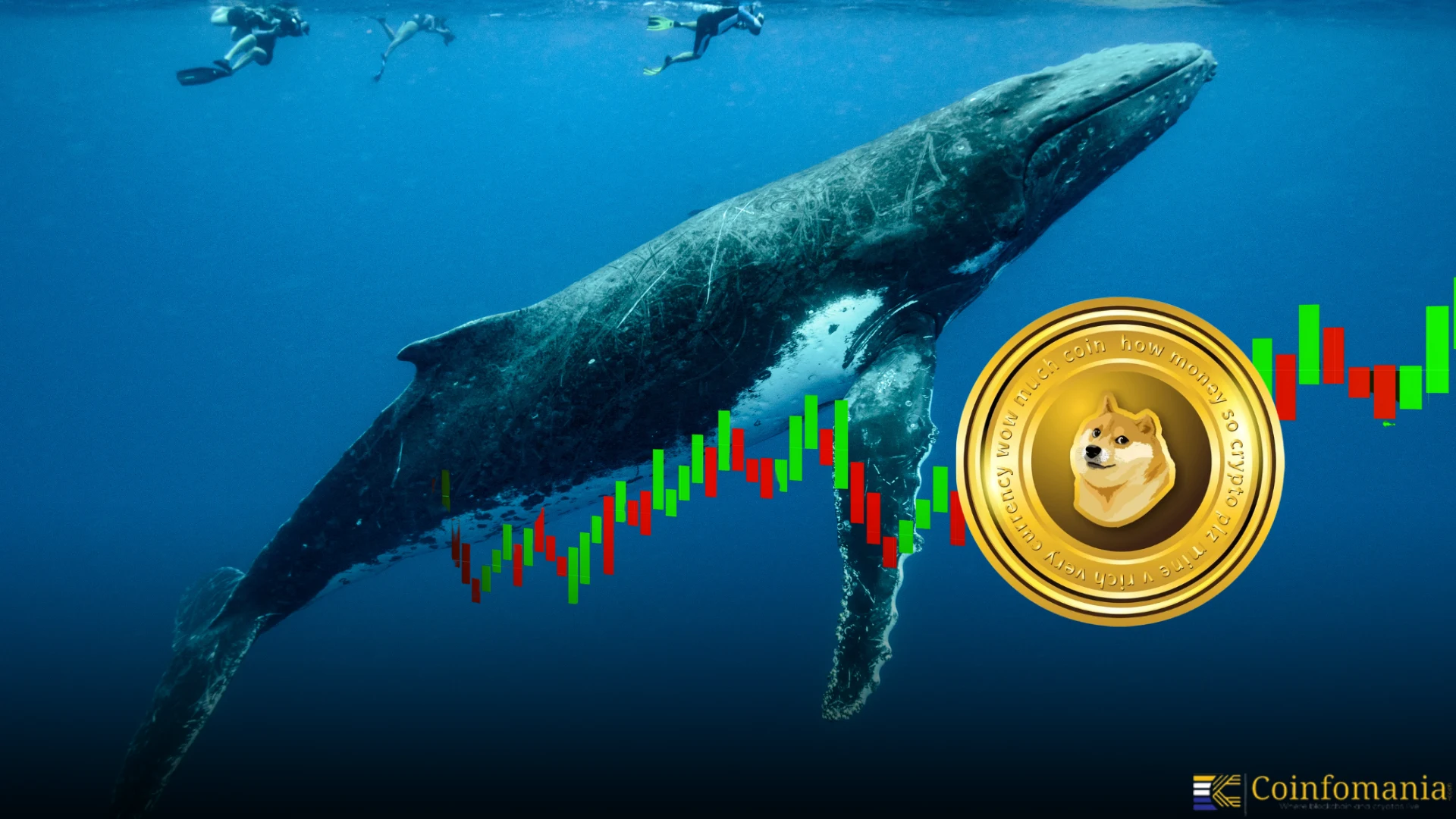 Dogecoin\s Wild Ride: Whale Buys, Fed Support, and What It All Means