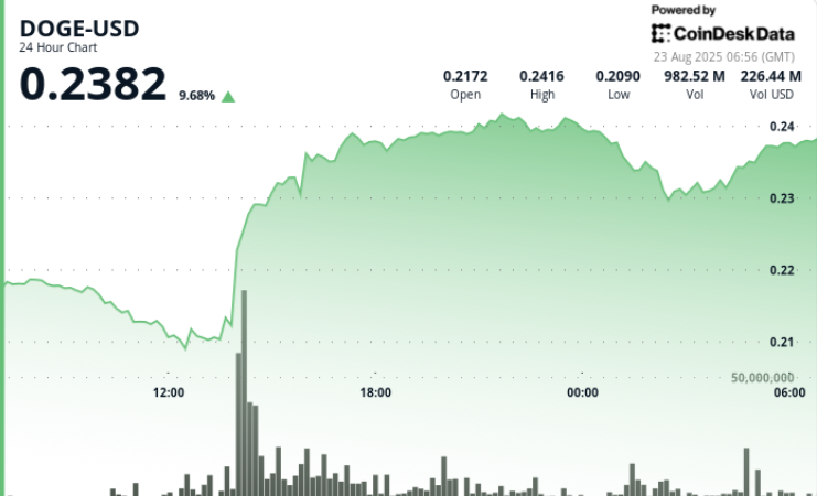 Doge Rally：机构活动和市场分析 - 纽约市的观点