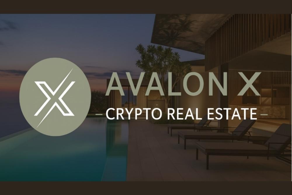 Dogecoin、Cardano、Avalon X：暑いものと暗号の世界には何がないのか