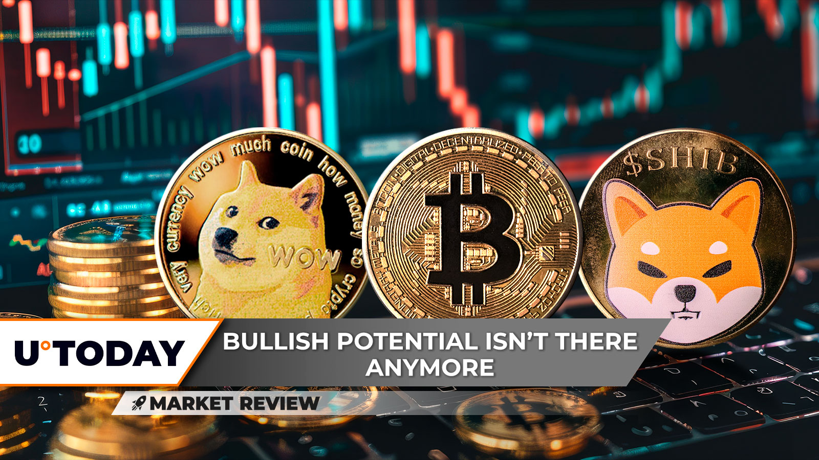 ビットコイン、ドッグコイン、およびシーバ島：'25年に暗号のジェットコースターをナビゲートする