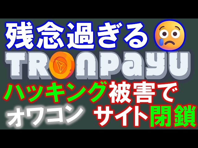 マルチインカムサラリーマン蜂野一