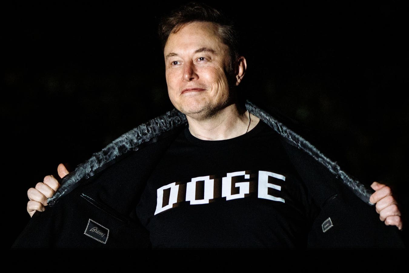 Elon Musk、Bitcoin、およびDogecoin：2025年のCrypto Trinity