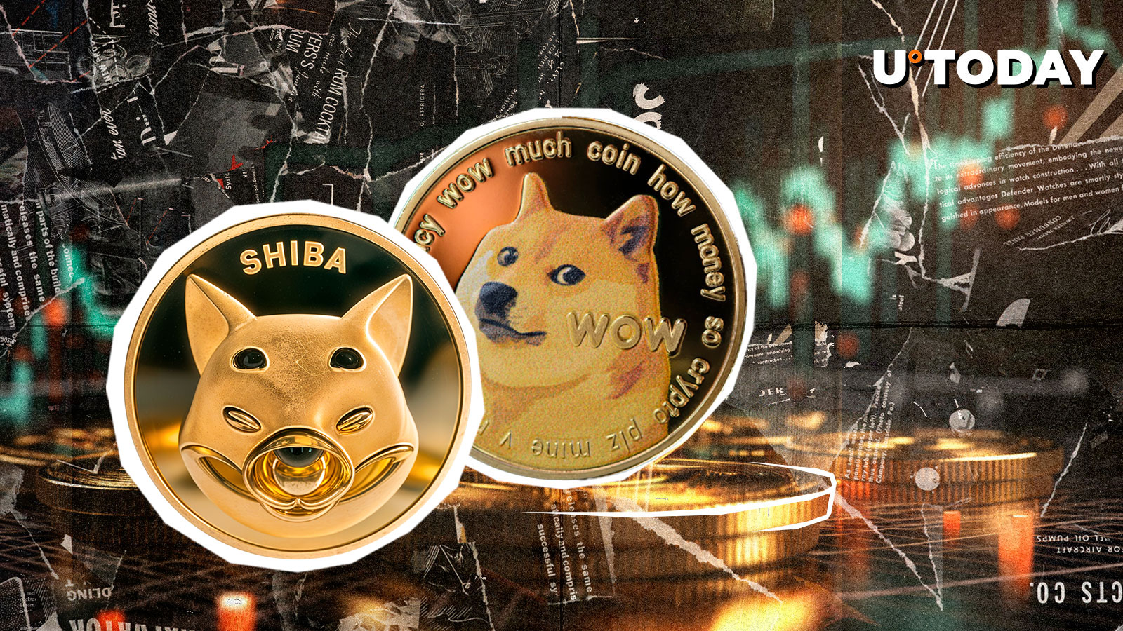 Dogecoin，XRP和Altcoin Rally：炒作是什么？