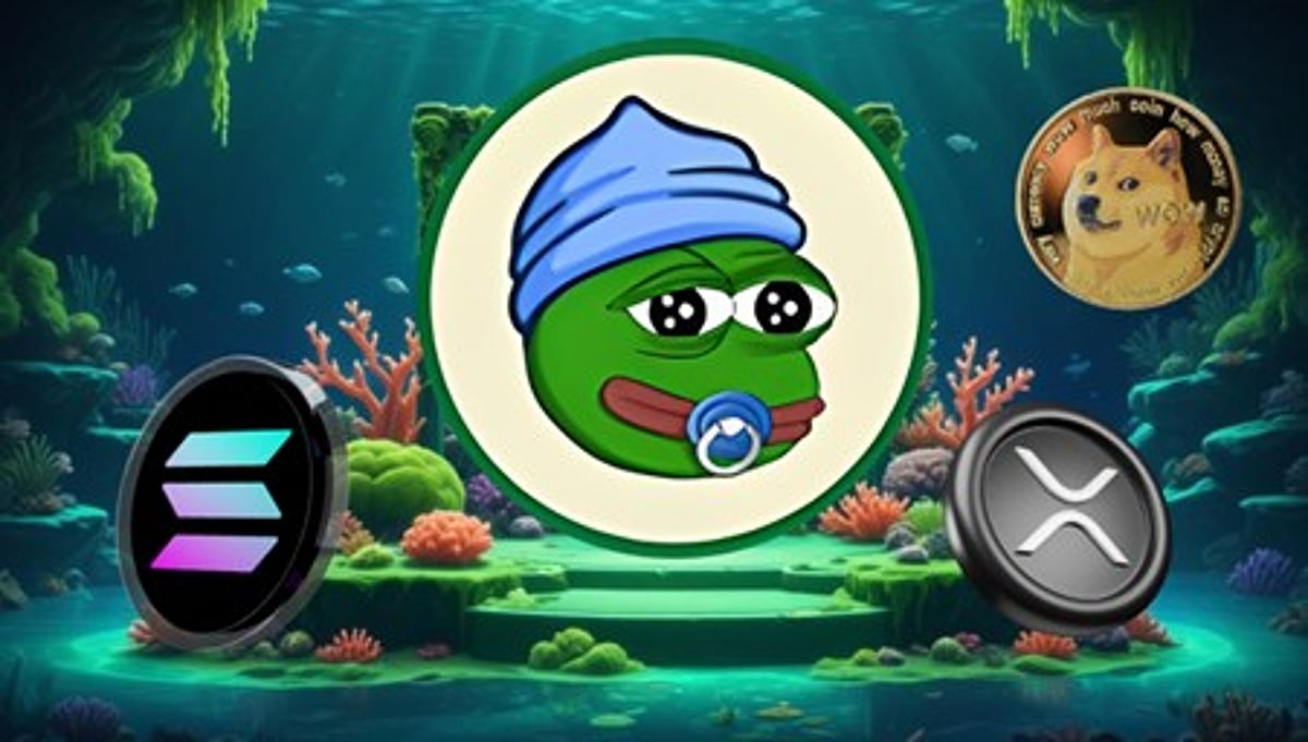 Solana、XRP、およびLittle Pepe：暗号通りでは何が暑いですか？