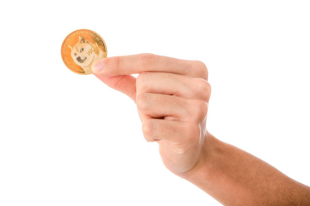 Dogecoin's Wild Ride：価格のクラッシュ、ロードマップ5ドル、そして次は何ですか？