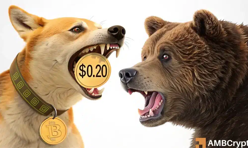 Dogecoin\s Bear Trap: Is a Short Squeeze Brewing?