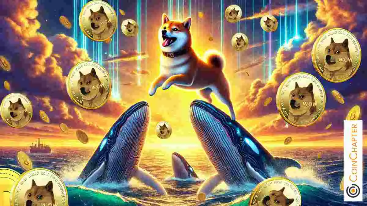 Dogecoin's Rally：ビットコインの波に乗るのか、それとも独自のコースを作成していますか？