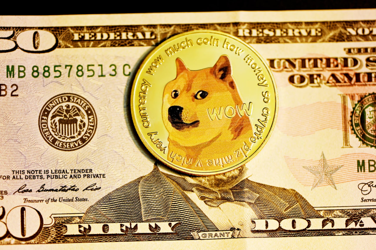 Dogecoin：今は購入して投資する時ですか？