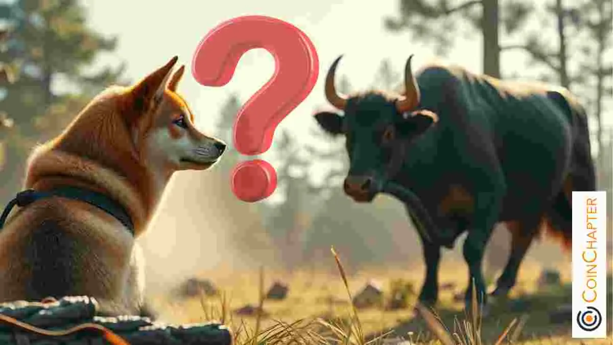 Dogecoinの強気のセットアップ：それは抵抗を突破しますか？