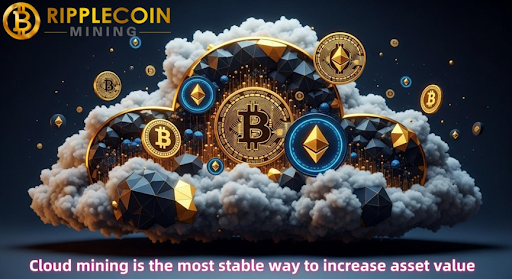 XRP、Doge、およびCloud Mining：ニューヨーカーのように暗号の波に乗る