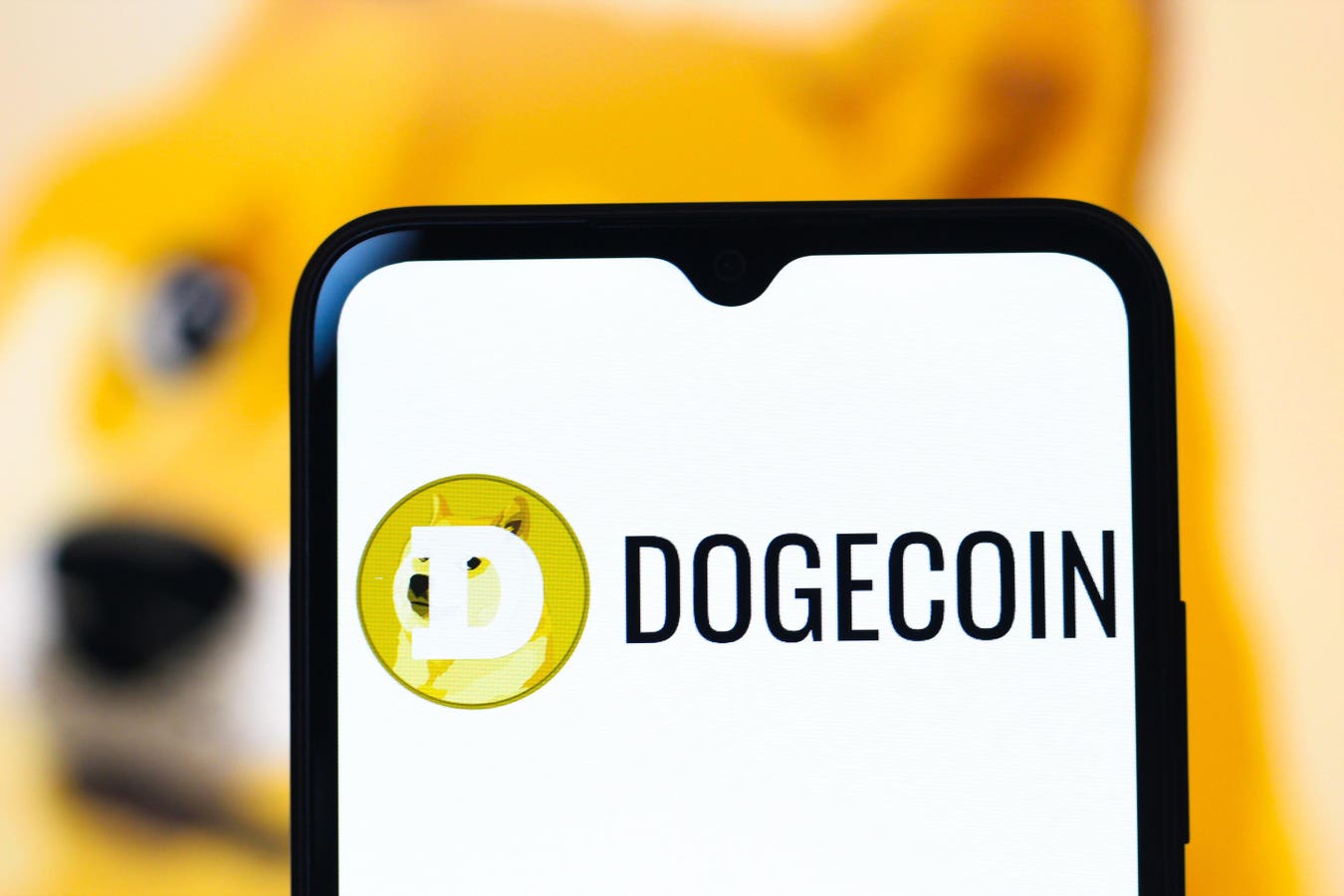 Dogecoin（Doge）は最近、50％以上急落し、大幅な価格下落を経験しました