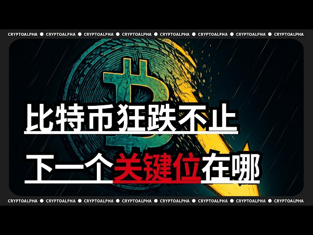 加密阿尔法 - CryptoAlpha