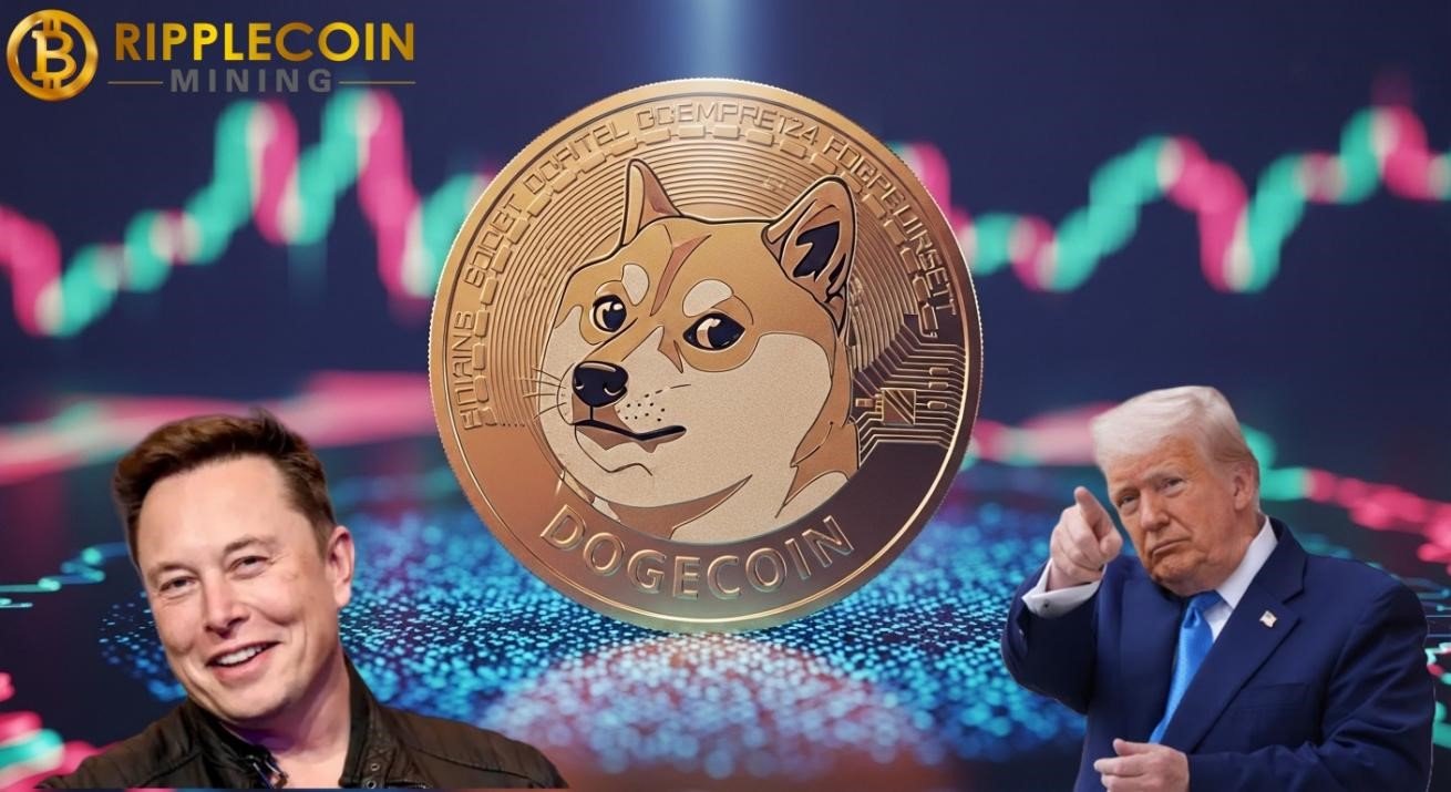 最近、Elon MuskとTrumpの間の緊張により、暗号通貨市場の乱流が強化されましたが、投資家がより安定した投資プラットフォームを見つけることができました。