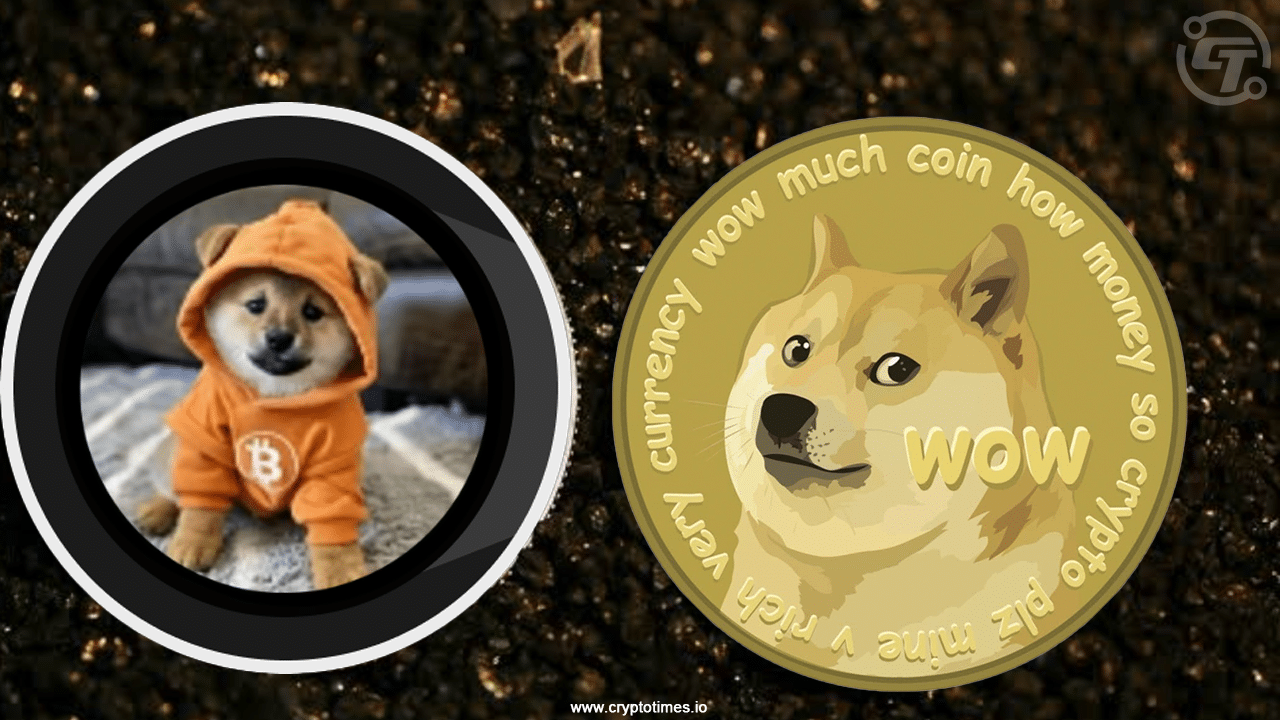 Dog（Bitcoin）Memecoinは今月2倍の集会を表示します。2025年までにDogeの時価総額を追い越すことはできますか？