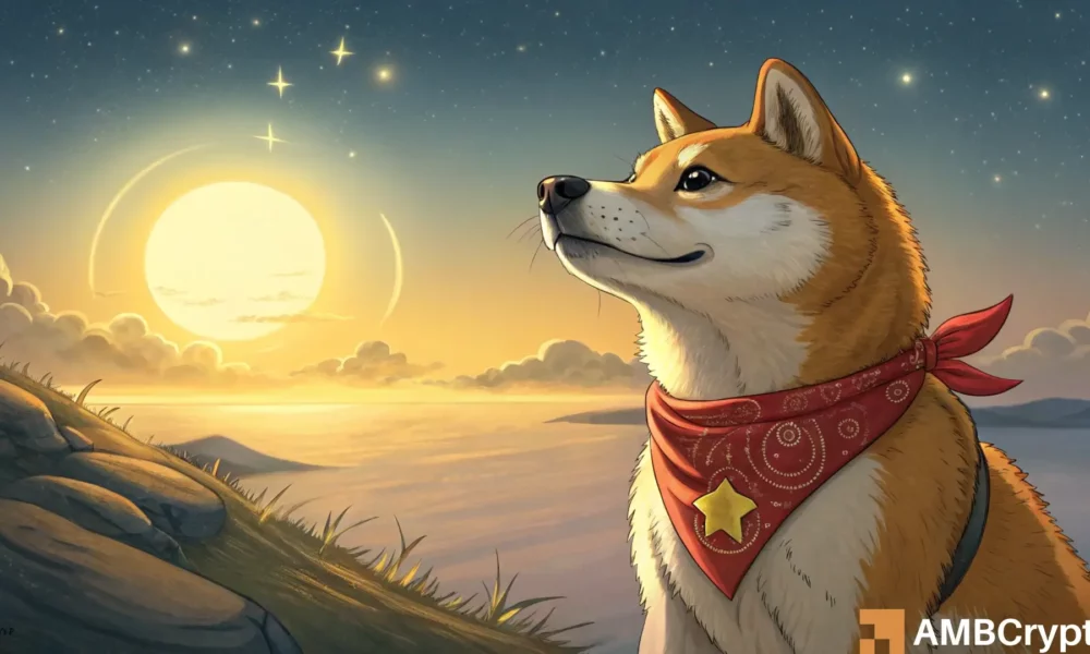 Dogecoin [Doge]は0.30ドルまで集会する準備ができています