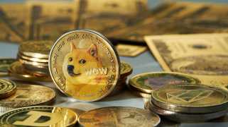 Dogecoin的文化耐力：从模因到主流资产？