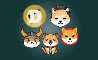 Meme Coin Mania 탐색 : 2025 년 포트폴리오 플레이 및 투자 통찰력