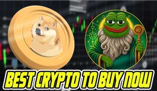 暗号投資：DogecoinとPepecoin Face New Challenger -Pepedollar