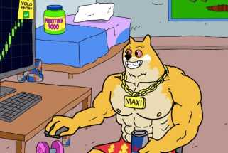 加密，门槛和分析师：解开最新趋势