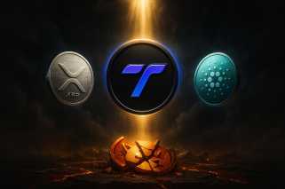 加密长期收益：BlockDag是下一个大事吗？