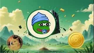 Cardano，Dogecoin和Meme Coin Mania：下一步是什么？