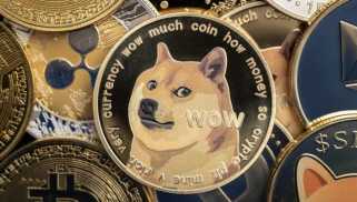 Elon Musk, Dogecoin et Crypto Treasuries: A New York Minute on Meme Coins and Corporate Moves