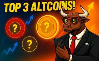 Memecoin Mania: Doge, Pepe et de nouveaux arrivants comme Maxi Doge the Future?