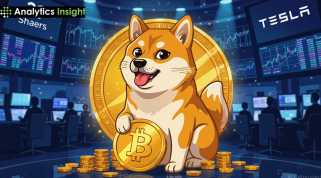 Cleancore의 Dogecoin 재무부 다이빙 : 천재 또는 위험한 사업?