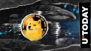 Dogecoin鯨魚消失了：這對Doge意味著什麼？