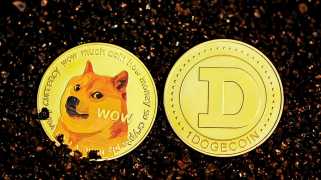 Dogecoin，Elon Musk和1.75億美元：紐約市對Meme Coin國庫的看法