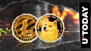 Dogecoin，Litecoin和XRP Explorer：Crypto Utility Battle Royale