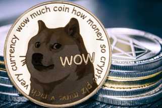 Elon Musk、Dogecoin、およびA Treasury Company：契約は何ですか？